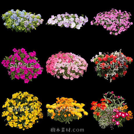5c80bb856a41ea5dfb95bd48