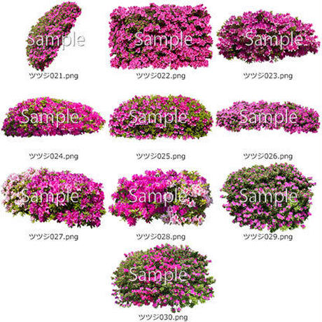 5b6fc26e50bbc34c98001e85
