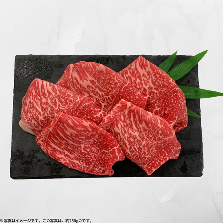 5f2803efd7e1d81b03dedfad