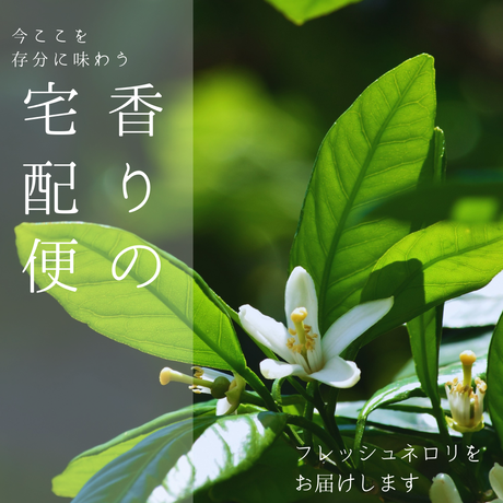 香りの宅配便～ネロリフラワー～