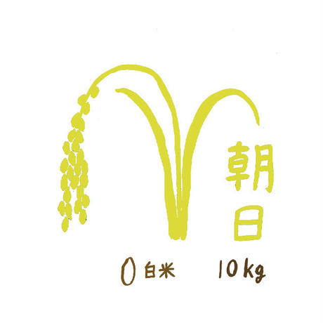 5bb233055496ff14130002af