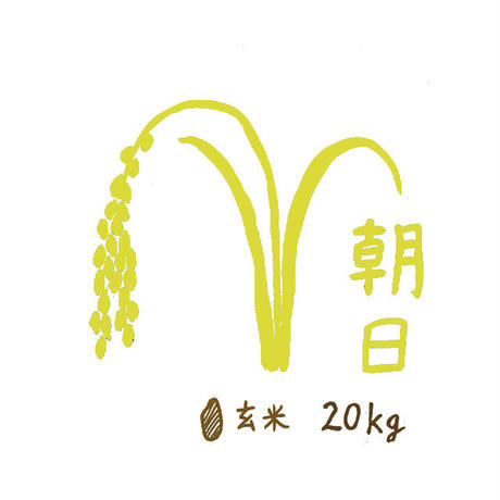 5bb237765496ff2527002403