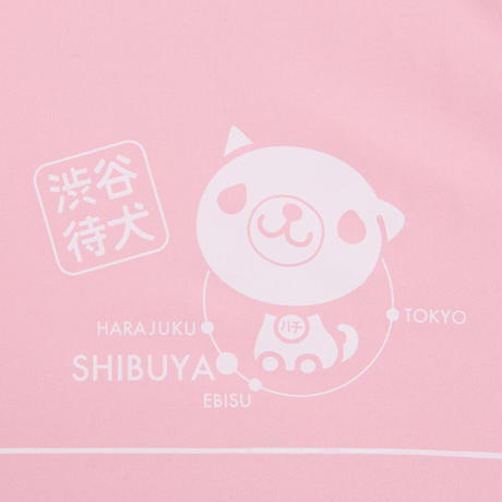 5542d6663cd482a8ff001915