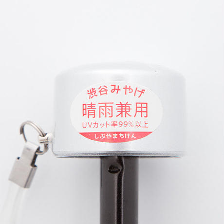 5542d6663cd482a8ff001915
