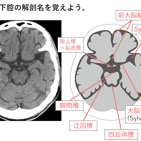 5d0b20d97521797c94b8117d