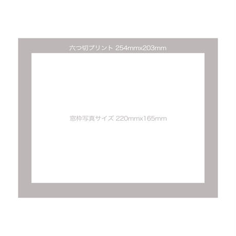 5a7288aef22a5b3810000256