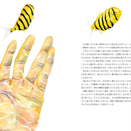5ead24ea55fa0321bd3e2a73