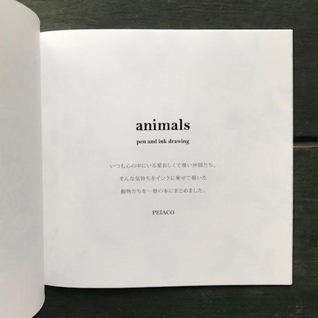 59ec3f2c3210d55928001854