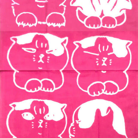 5816e291a458c0c034000b2d