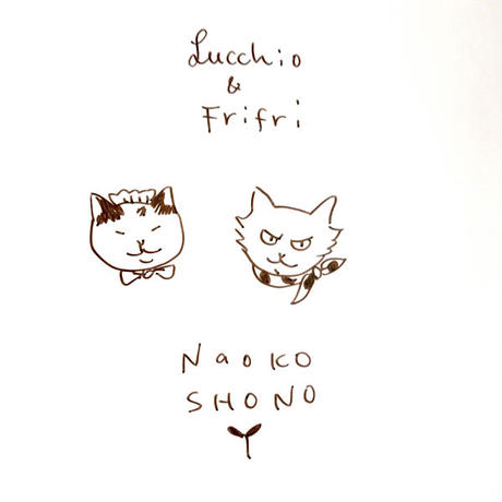 58945b9441f8e8b968001ddc