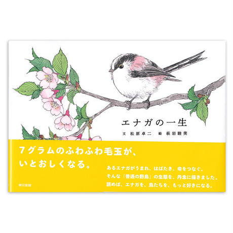 59ec75bb3210d557a9001e9d