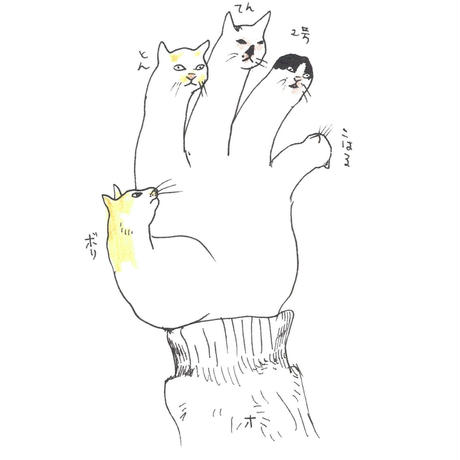 57b3137c1003153344002c59