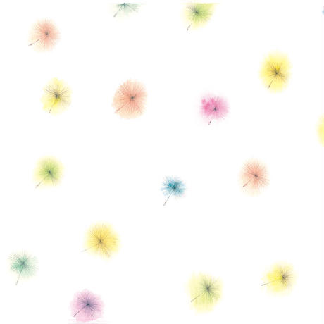 5f45b65e223ead0d0b4fed17