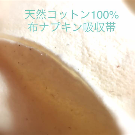 588bf2c9a458c021ac00b352