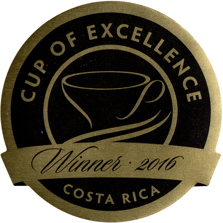 591caff4428f2d1915003e66