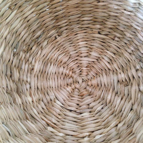 55568e07391bb38d18001110