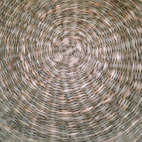 5556ab4186b1887dcd0060a5