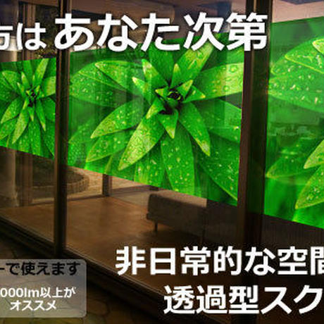 58a169139821cc7a28014e12