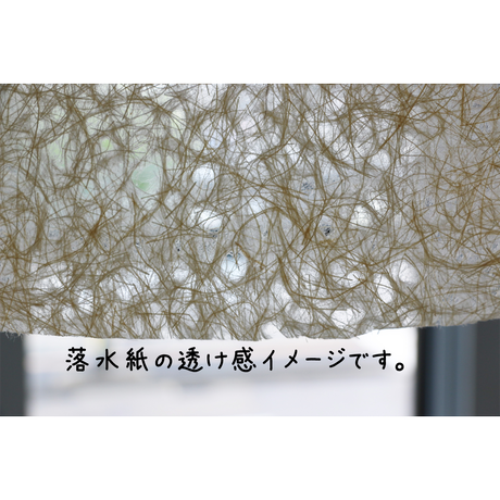 59279bb2f22a5b3d6b008365
