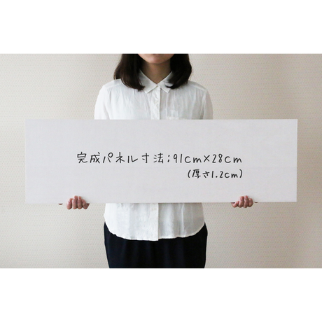 55062e463bcba96659001a0e