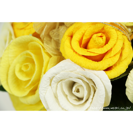 570204df9821cc6f5800036e