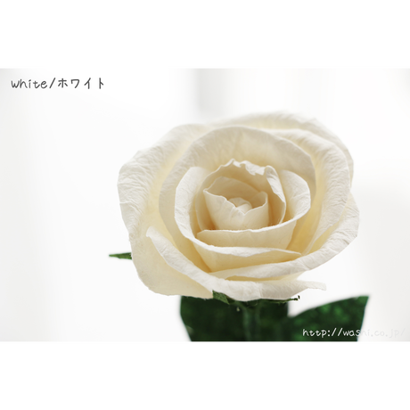 5a9e03dba6e6ee3176000415