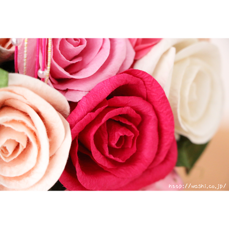 570204fb99c3cdbf3b00034d
