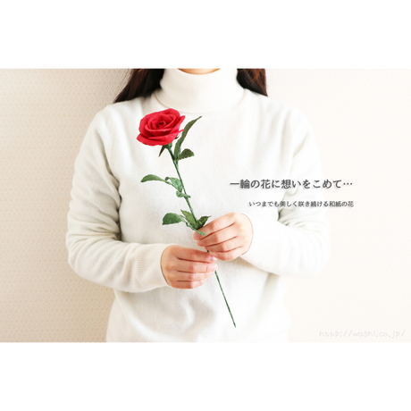 5a9e03dba6e6ee3176000415