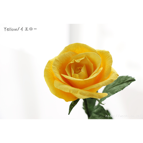 5a9e03dba6e6ee3176000415