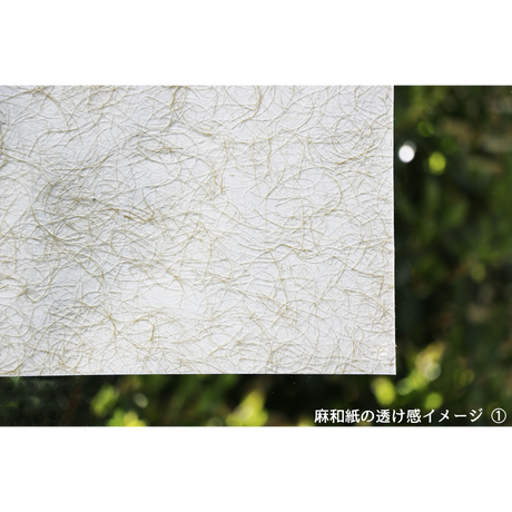 55efab333bcba9e77f003542