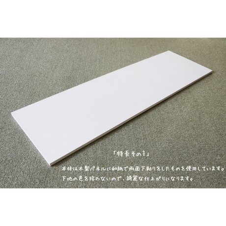 55062e463bcba96659001a0e