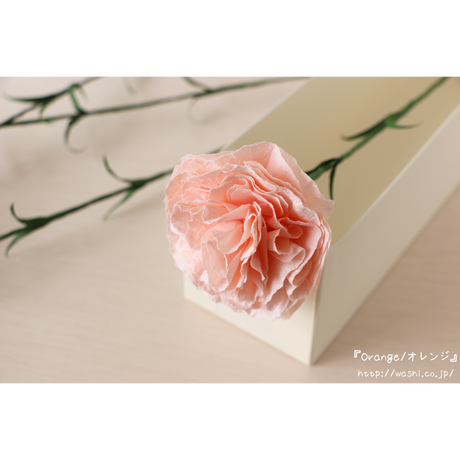 5cb7f306adb2a11b68319b01