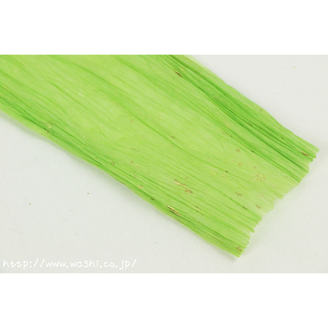 570204f200d331c3fa0002f2