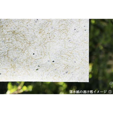 559b8c72ef33773e800005b9