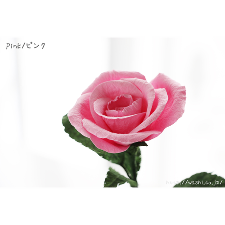 5a9e03dba6e6ee3176000415