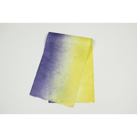 579085f341f8e8c4460001c5
