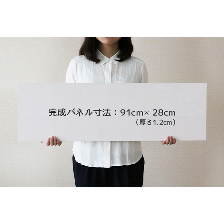 55062e463bcba96659001a0e
