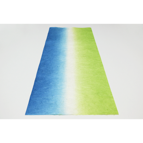 579085e600d331a25f0001cc