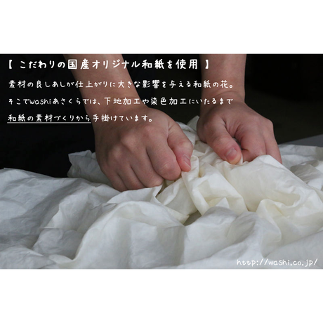 5a9e03dba6e6ee3176000415