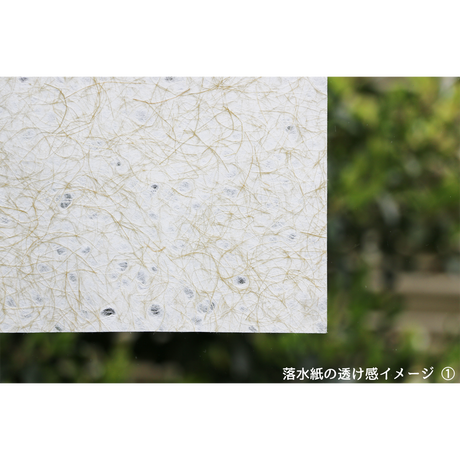 5ea7b15851576245adf24e28