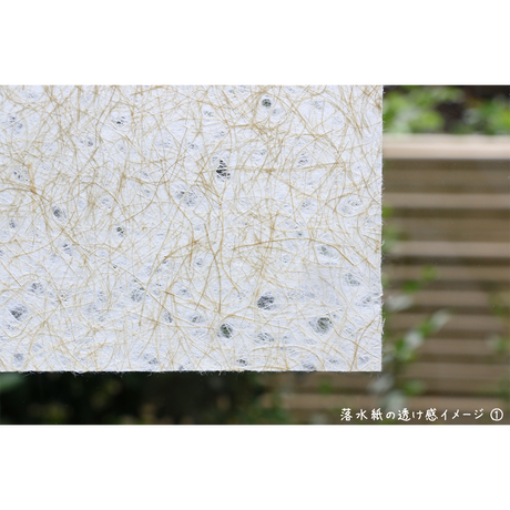 59279bfd428f2d7355008bd0