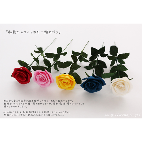 5a9e03dba6e6ee3176000415