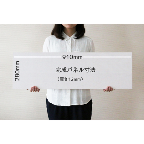 55062e463bcba96659001a0e