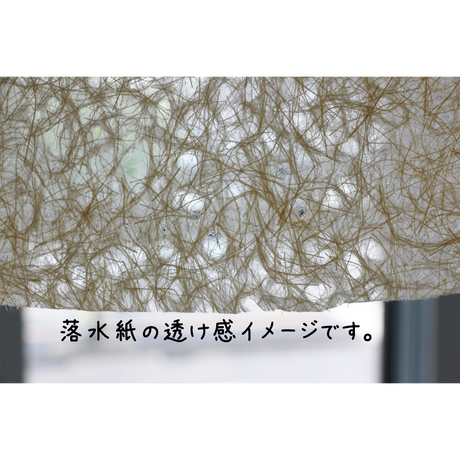 559ba08d3bcba9374600085b