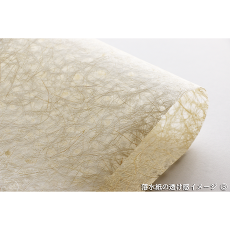 57f202a510031591de000186