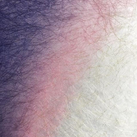 59ca1c55428f2d638e000a5f