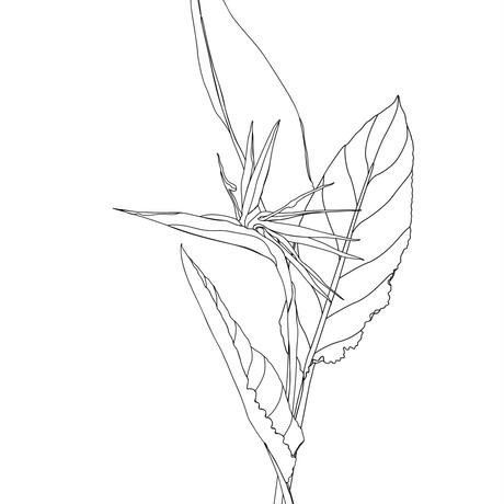 5e95c17455fa030b5a73ff83