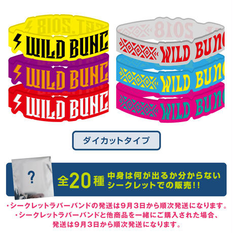 5b5ff3c05f78663a300005bb