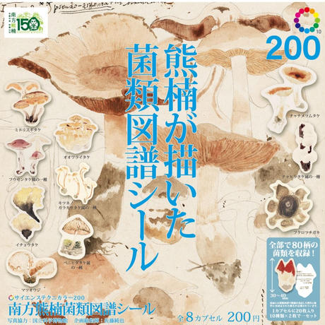 5a2118a83210d5554f0002ac