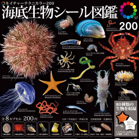 5a3379d93210d50df10002d4
